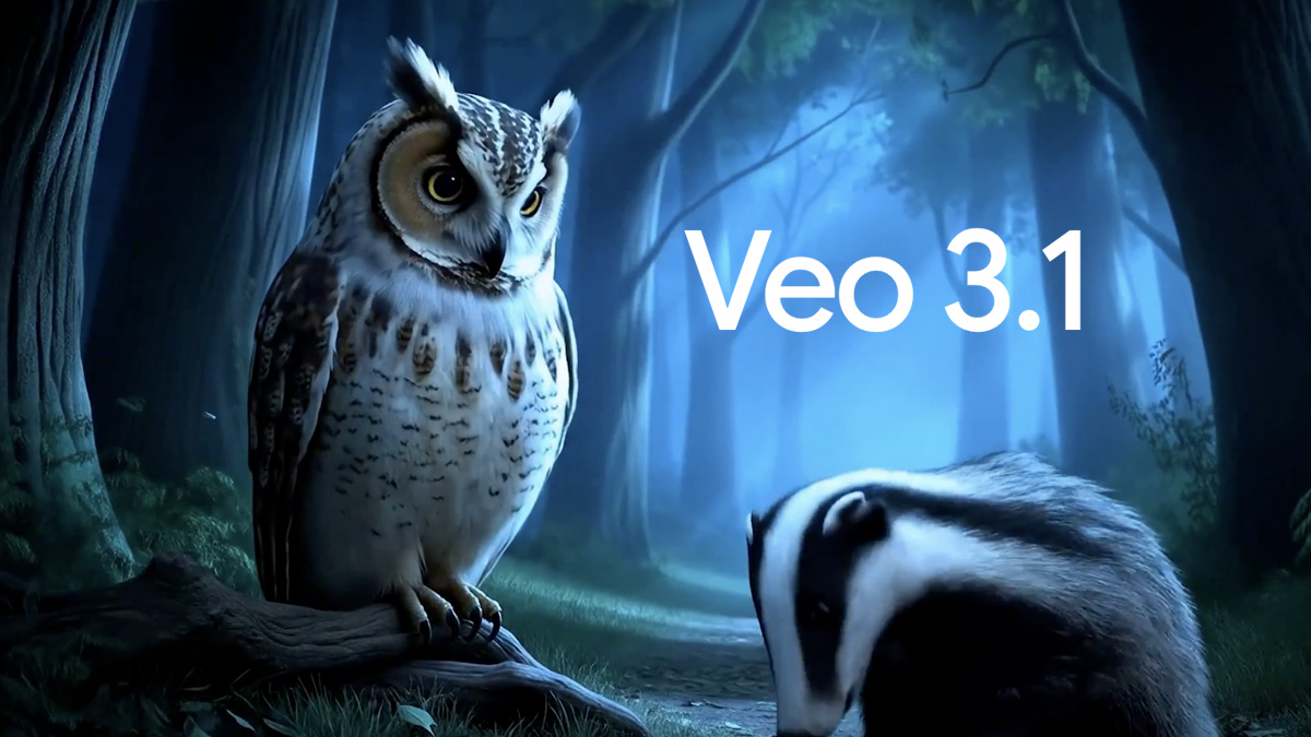 An owl next to Veo 3.1